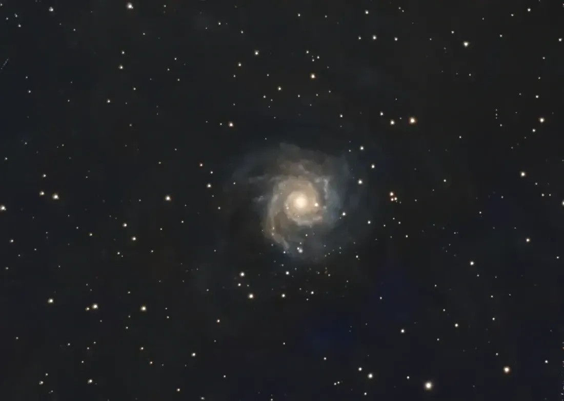 A small face-on spiral galaxy surrounded by stars against a dark sky.