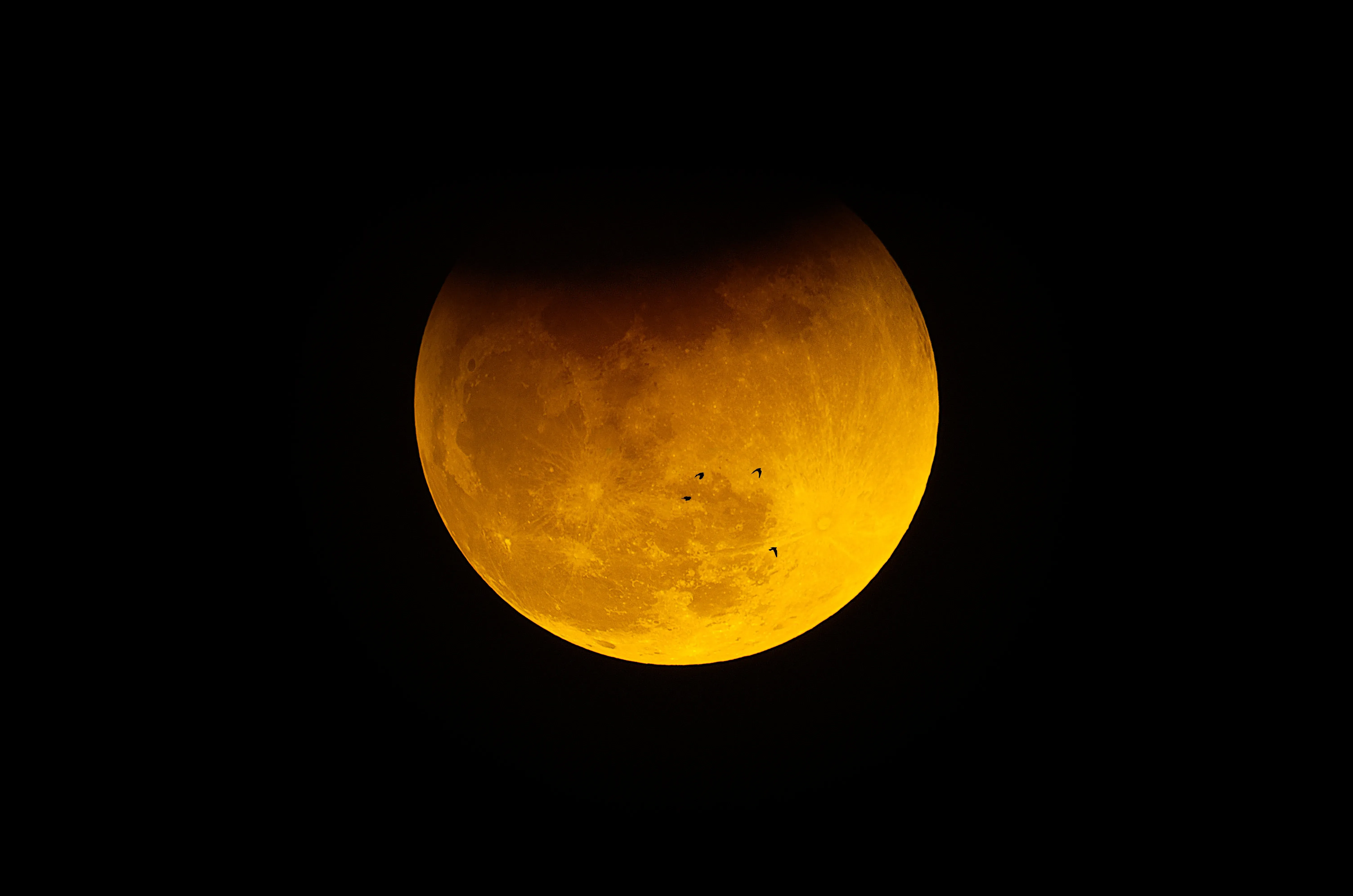 The Moon