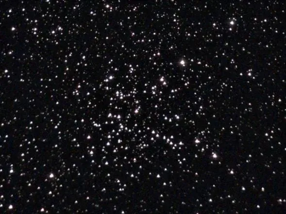 Starfish Cluster