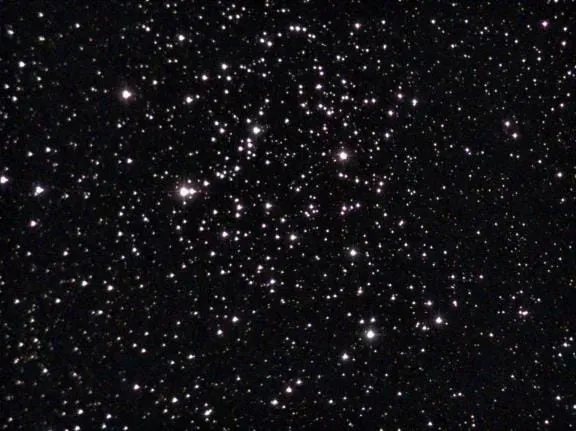 Shoe-Buckle Cluster