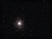 Rose Cluster