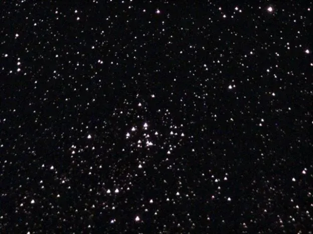 Black Swan Cluster