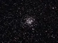 Wild Duck Cluster