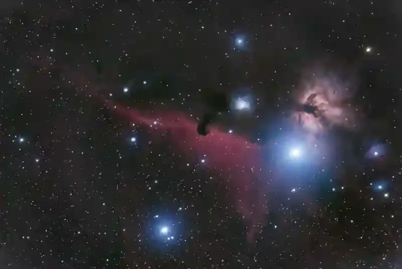 The Horsehead Nebula imaged by Durbin volunteers