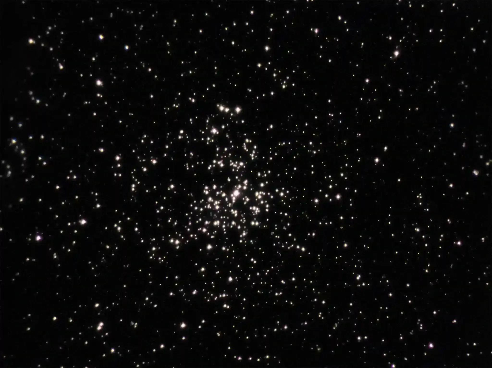 Salt and Pepper Cluster