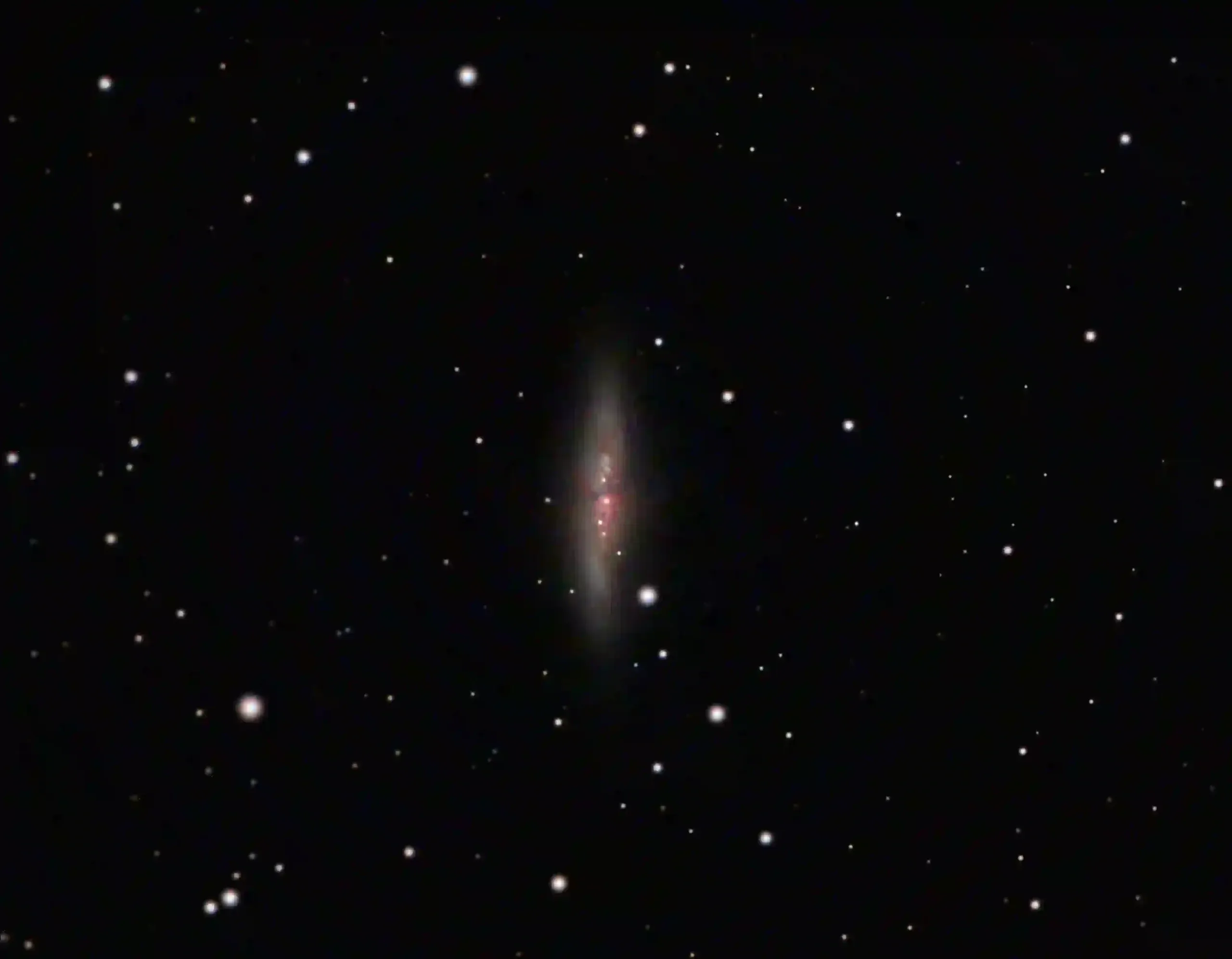 Cigar Galaxy
