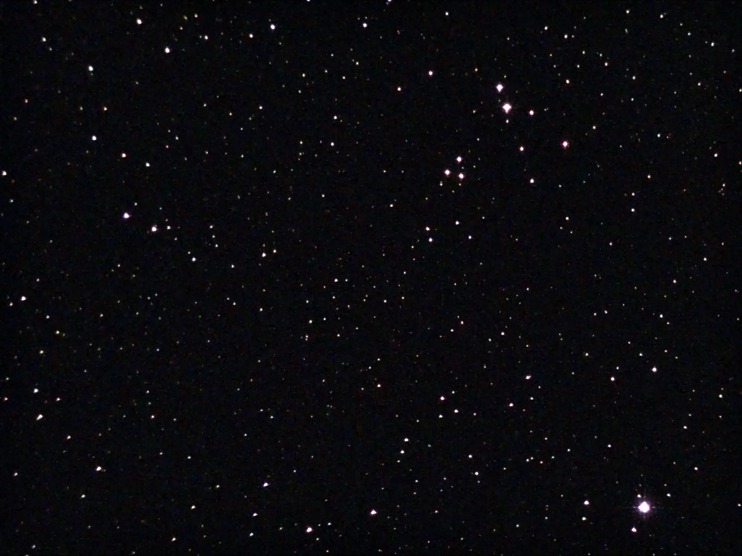 Owl Cluster